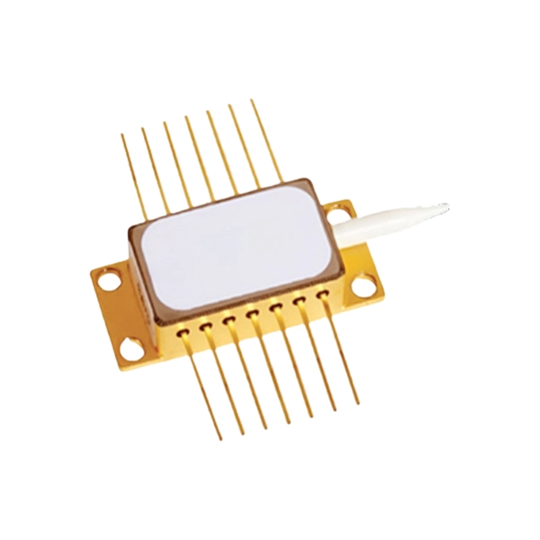 Ethernet to Fiber Optic Patch Cord