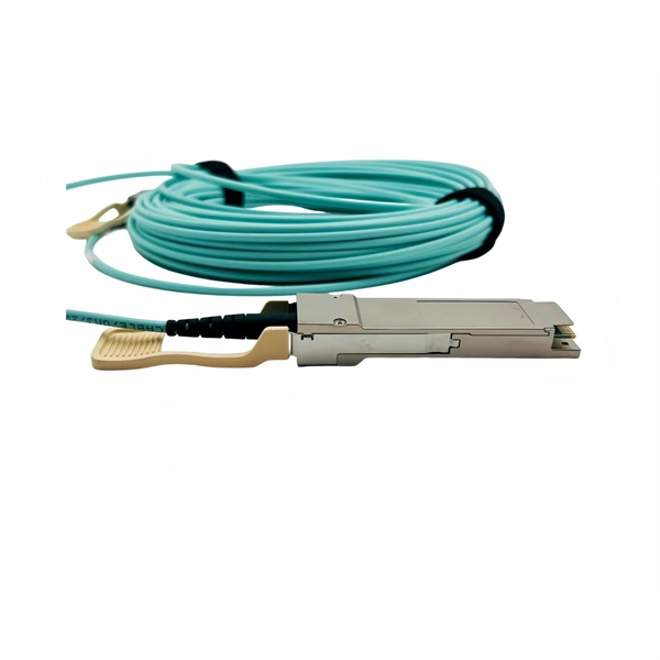 Fiber optic connector ferrule PPS