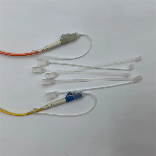 What are the functions of a silicon photonics switch