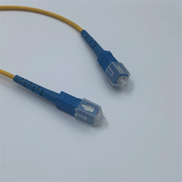 The access switch has several ports