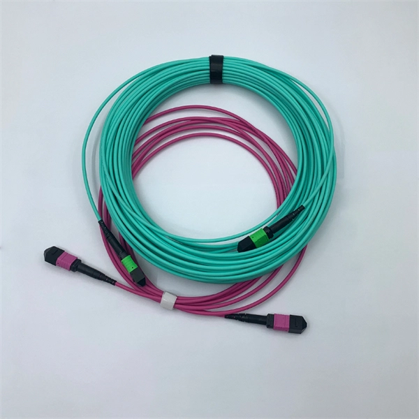 Fiber Optic Cable Renovation Budget