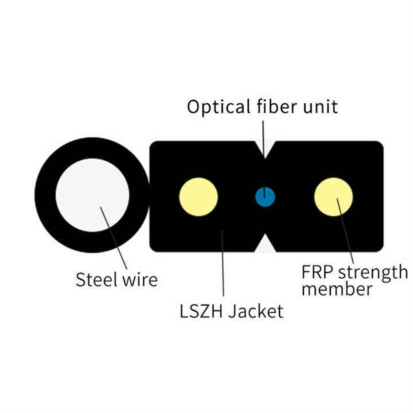 Can FTPTR be connected to a switch and splitter