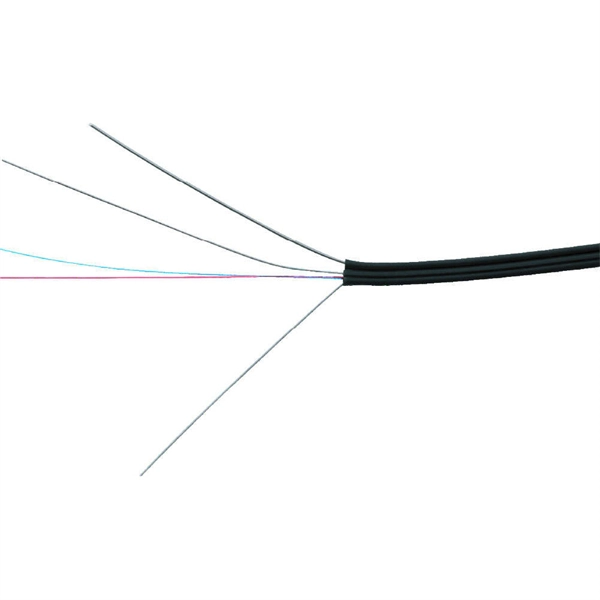 Switch network port and fiber optic connection